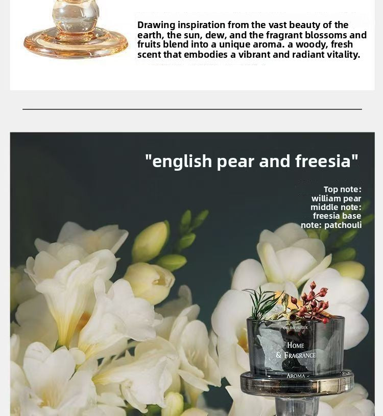 Aroma Stone Aromatherapy Ornament Perfume Ornament