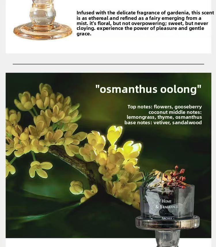 Aroma Stone Aromatherapy Ornament Perfume Ornament